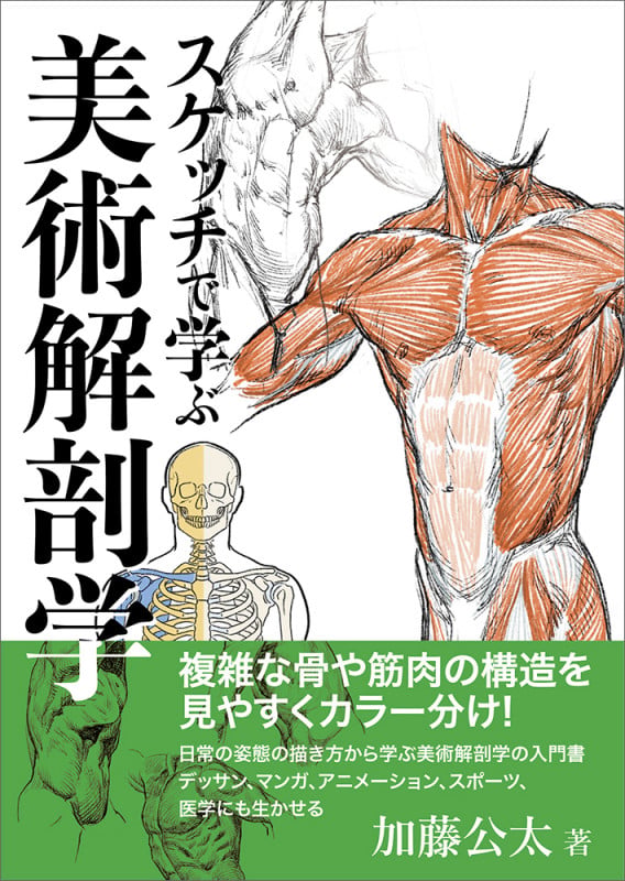 スケッチで学ぶ美術解剖学 | 加藤公太のあらすじ・感想 - ブクログ