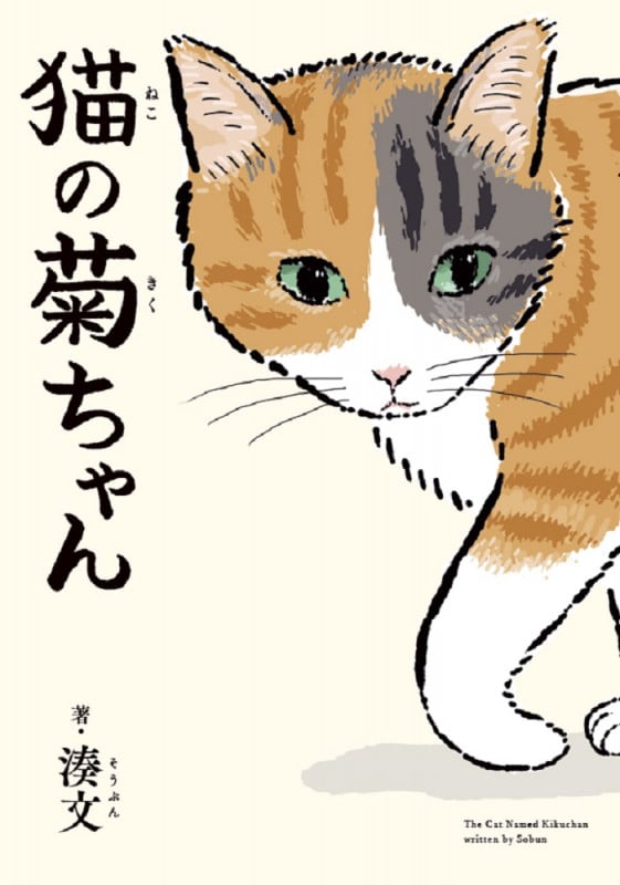 猫の菊ちゃんの詳細を見る