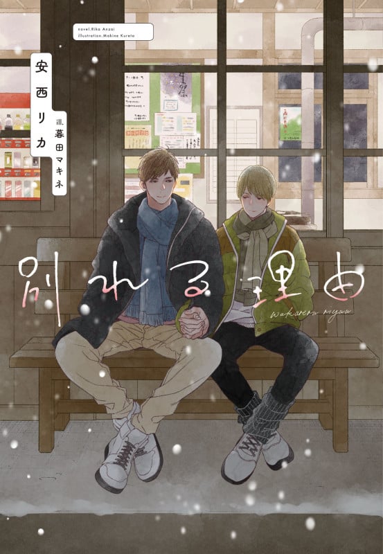 別れる理由 (ディアプラス文庫)