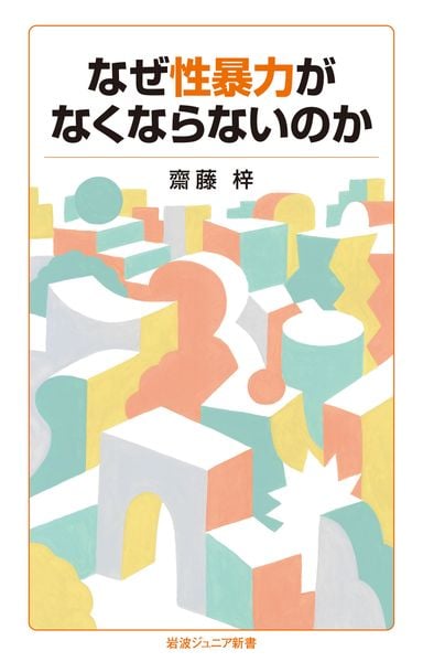 なぜ性暴力がなくならないのか (岩波ジュニア新書 1017)