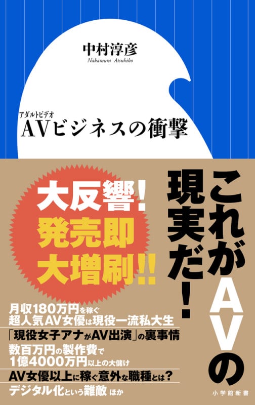AVビジネスの衝撃 (小学館新書)