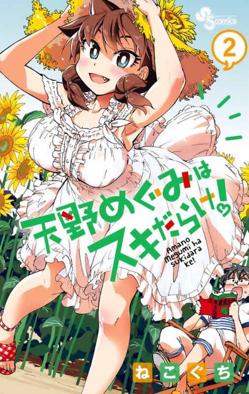 天野めぐみはスキだらけ! (2) (サンデーC)
