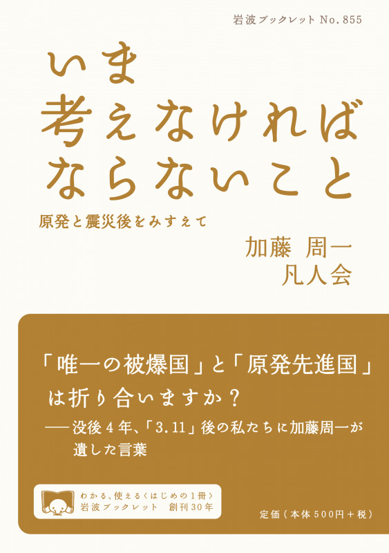 いま考えなければならないこと 原発と震災後をみすえて (岩波ブックレット 855)の詳細を見る