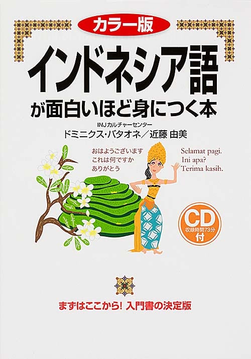 カラー版 CD付 インドネシア語が面白いほど身につく本