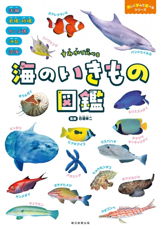 すみかで比べる 海のいきもの図鑑 (楽しく学んで遊べるシリーズ)