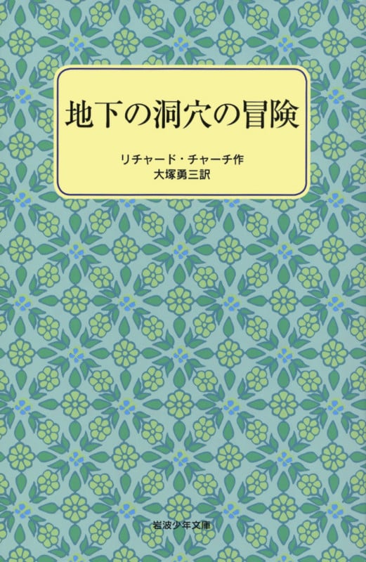 地下の洞穴の冒険 (岩波少年文庫 3140)