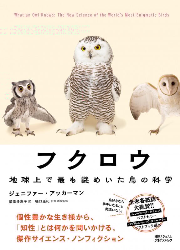フクロウ 地球上で最も謎めいた鳥の科学
