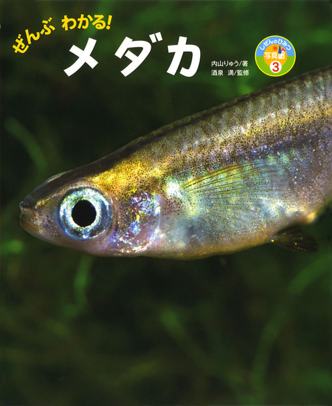 ぜんぶわかる!メダカ (しぜんのひみつ写真館 3)