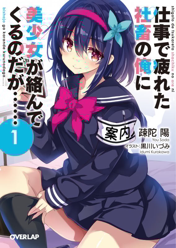 仕事で疲れた社畜の俺に美少女が絡んでくるのだが...... (1) (オーバーラップ文庫)