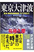 東京大津波 東海・東南海連鎖地震、ついに 東海・東南海連鎖地震、ついに発生す! (PHP文庫)