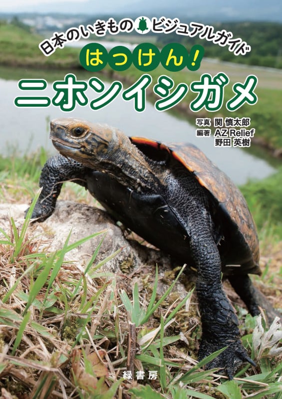 日本のいきものビジュアルガイド はっけん! ニホンイシガメ