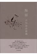 海雨 吉川宏志歌集 (塔21世紀叢書 第62篇)