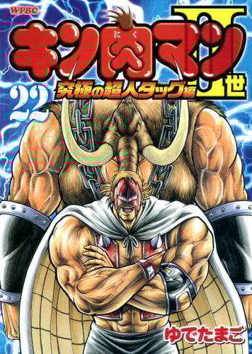 キン肉マンII世 究極の超人タッグ編 (22) (プレイボーイC)