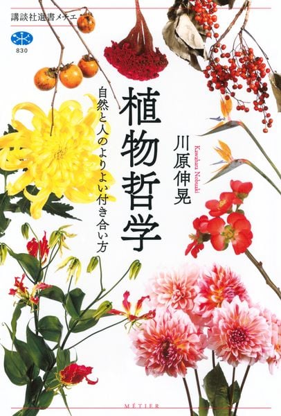 植物哲学 自然と人のよりよい付き合い方 (講談社選書メチエ)