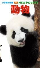 小学館の図鑑 NEO POCKET -ネオぽけっと- 動物 (小学館の図鑑NEO POCKET)の詳細を見る