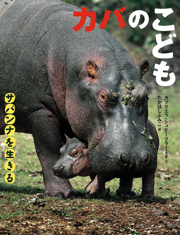 カバのこども (サバンナを生きる)