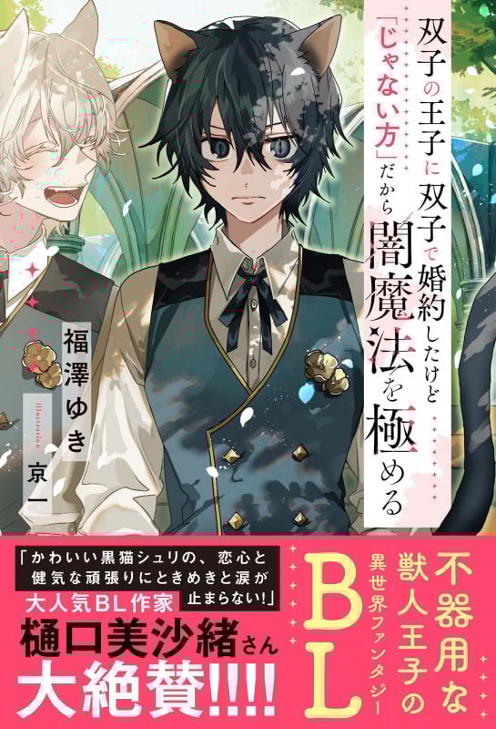 双子の王子に双子で婚約したけど「じゃない方」だから闇魔法を極める (アンダルシュノベルズ)