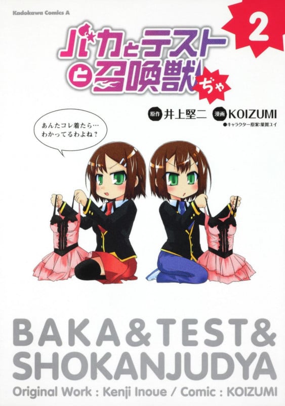 バカとテストと召喚獣ぢゃ (2) (角川Cエース)