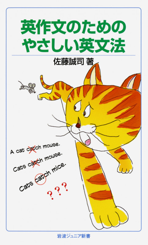 英作文のためのやさしい英文法 (岩波ジュニア新書)