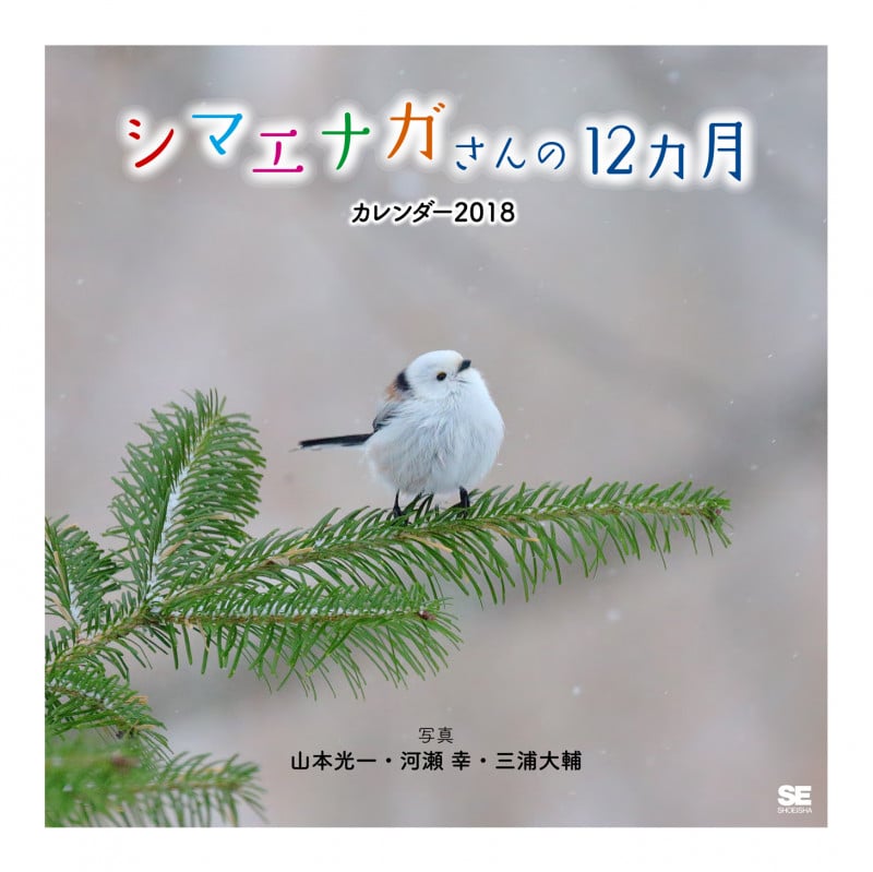 シマエナガさんの12ヵ月 カレンダー 2018 (翔泳社カレンダー)