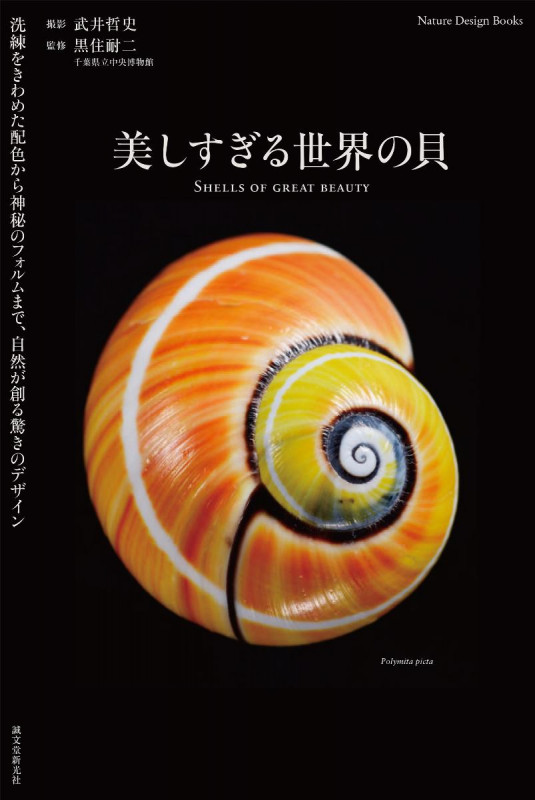 美しすぎる世界の貝 洗練をきわめた配色から神秘のフォルムまで、自然が創る驚きのデザインの詳細を見る