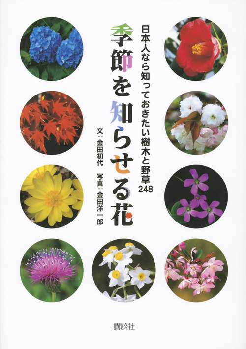 季節を知らせる花 日本人なら知っておきたい樹木と野草248