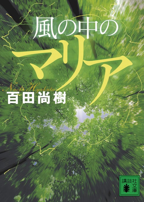 風の中のマリア (講談社文庫)