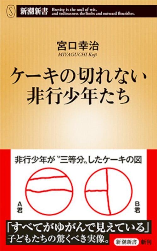 ケーキの切れない非行少年たち (新潮新書)
