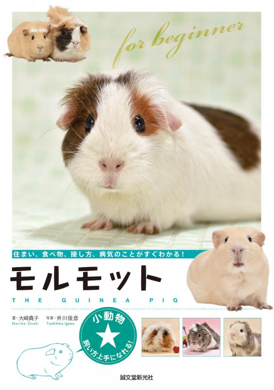 モルモット 住まい、食べ物、接し方、病気のことがすぐわかる! (小動物★飼い方上手になれる!)