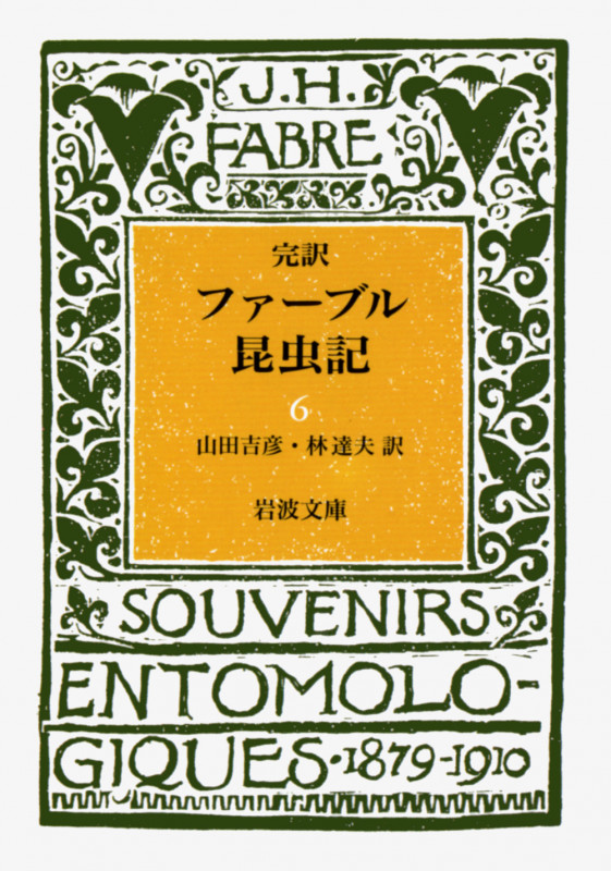 ファーブル昆虫記 6(完訳) (岩波文庫 青919-6)