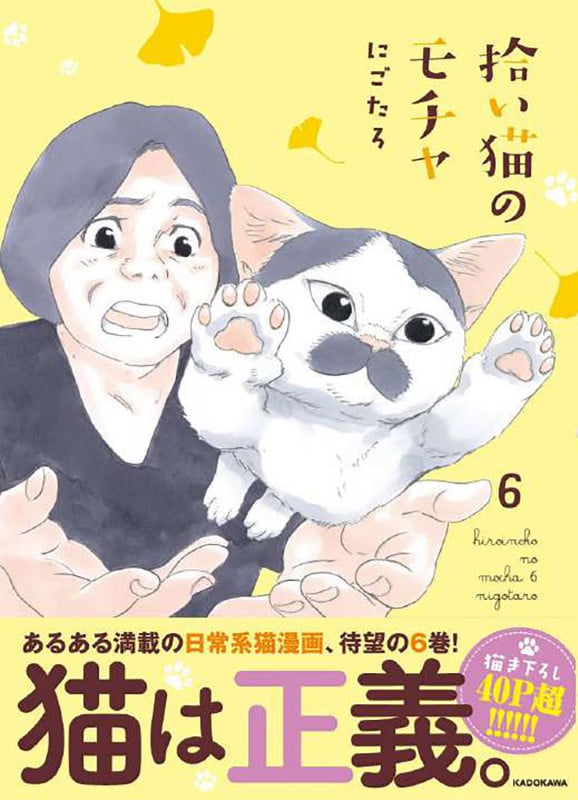 拾い猫のモチャ6 (6)