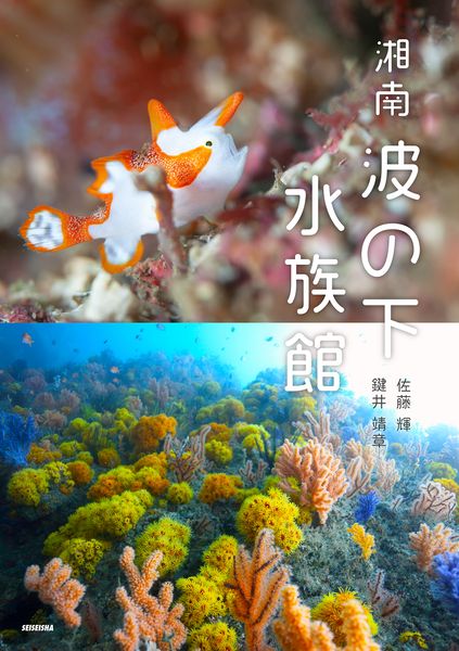 湘南 波の下水族館