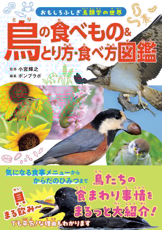 鳥の食べもの&とり方・食べ方図鑑