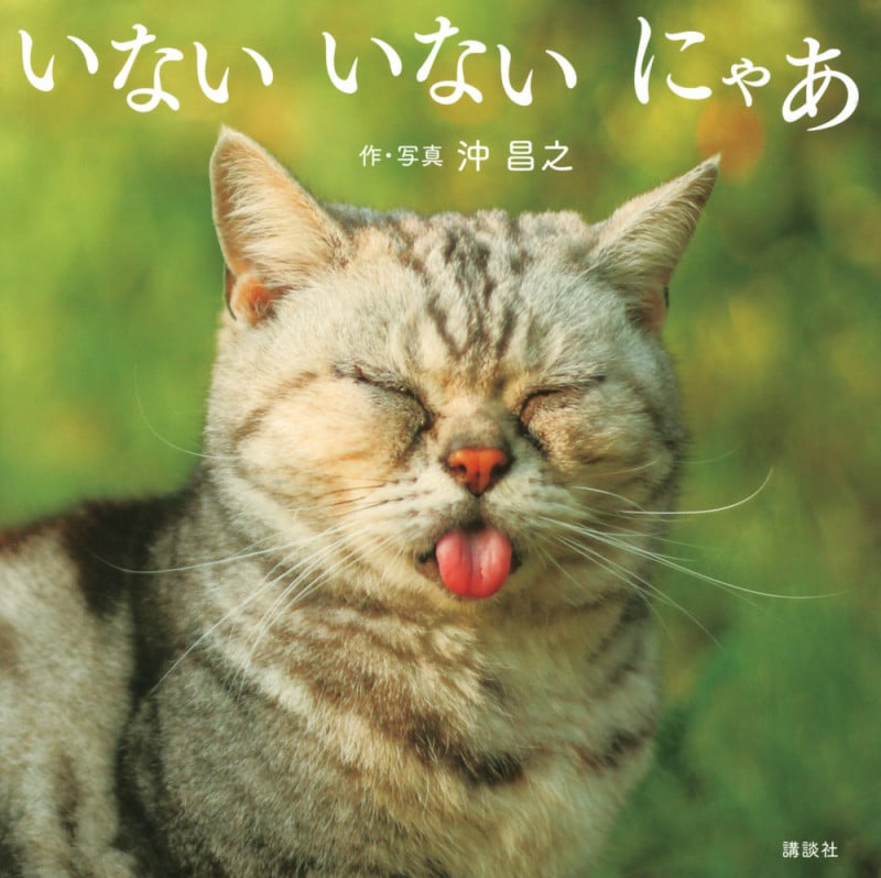 いないいないにゃあ (講談社の創作絵本)