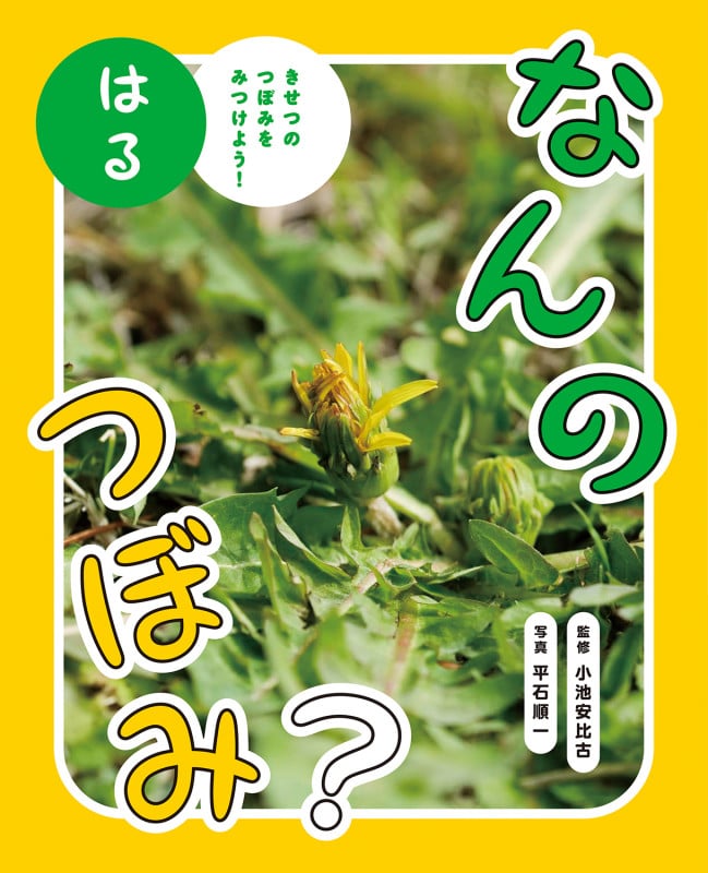 なんのつぼみ? はる (なんのつぼみ?)