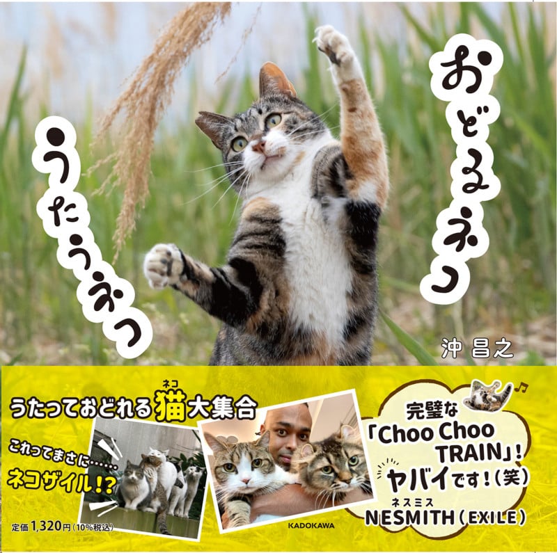 写真集 おどるネコうたうネコ