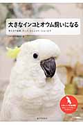 大きなインコとオウム飼いになる 育て方や食事、グッズ、コミュニケーションまでの詳細を見る