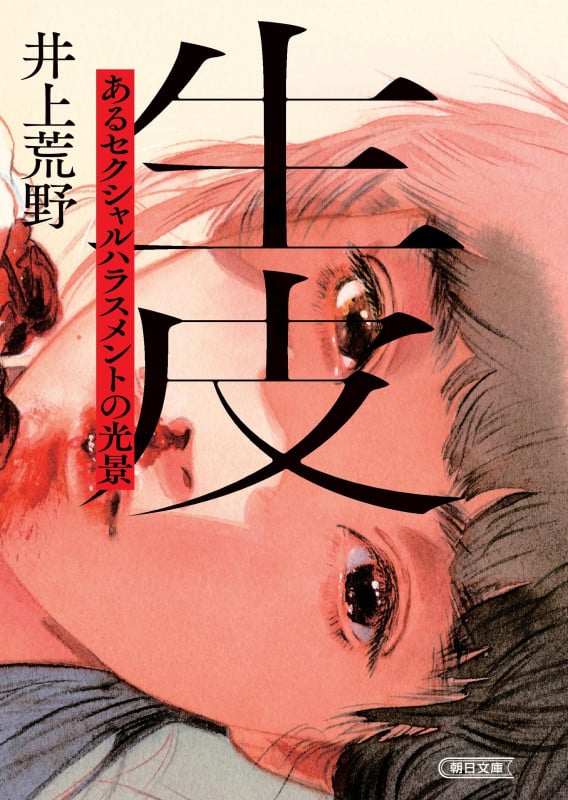 生皮 あるセクシャルハラスメントの光景 (朝日文庫)