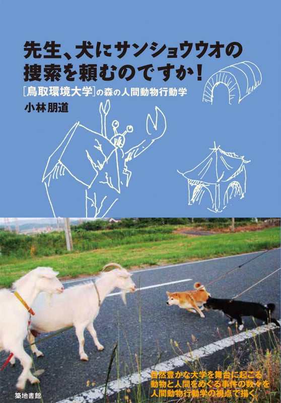 先生、犬にサンショウウオの捜索を頼むのですか! 〈鳥取環境大学〉の森の人間動物行動学