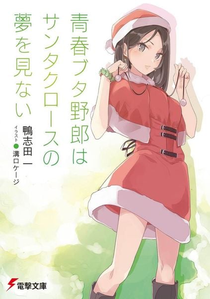 青春ブタ野郎はサンタクロースの夢を見ない (13) (電撃文庫)