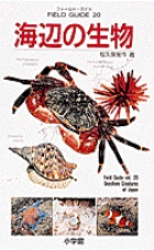 海辺の生物 (フィールド・ガイド 20)