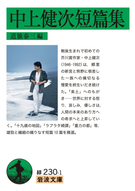 中上健次短篇集 (岩波文庫)
