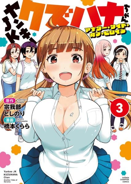 ヤンキーJKクズハナちゃん アナザー・サイド・オブ・ヒロイン 3 (少年チャンピオン・コミックス)