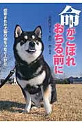 命がこぼれおちる前に 収容された犬猫の命をつなぐ人々 (感動ノンフィクションシリーズ)