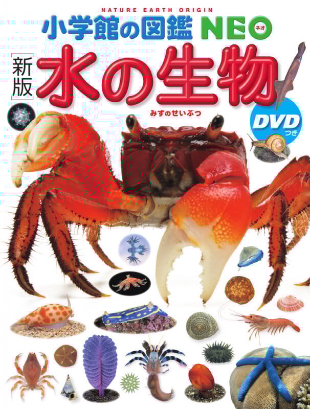 水の生物 新版 (小学館の図鑑NEO)