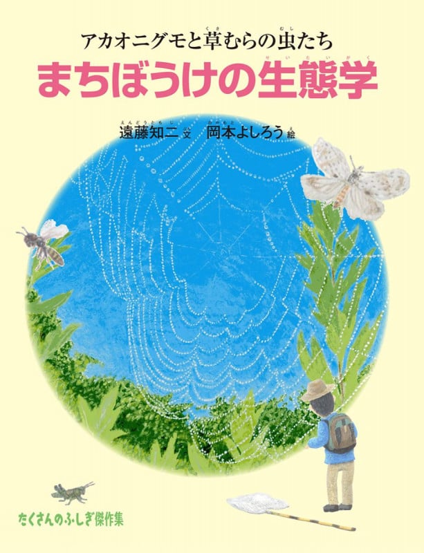まちぼうけの生態学 アカオニグモと草むらの虫たち (たくさんのふしぎ傑作集)