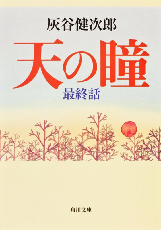 天の瞳 最終話 (角川文庫)