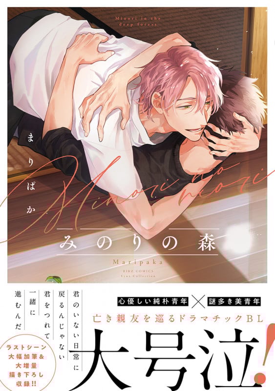 みのりの森 (バーズCリンクスコレクション)