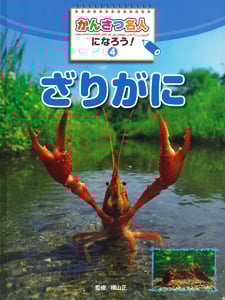 かんさつ名人になろう! (4)