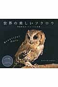 世界の美しいフクロウ 神秘的なポートレートと生態